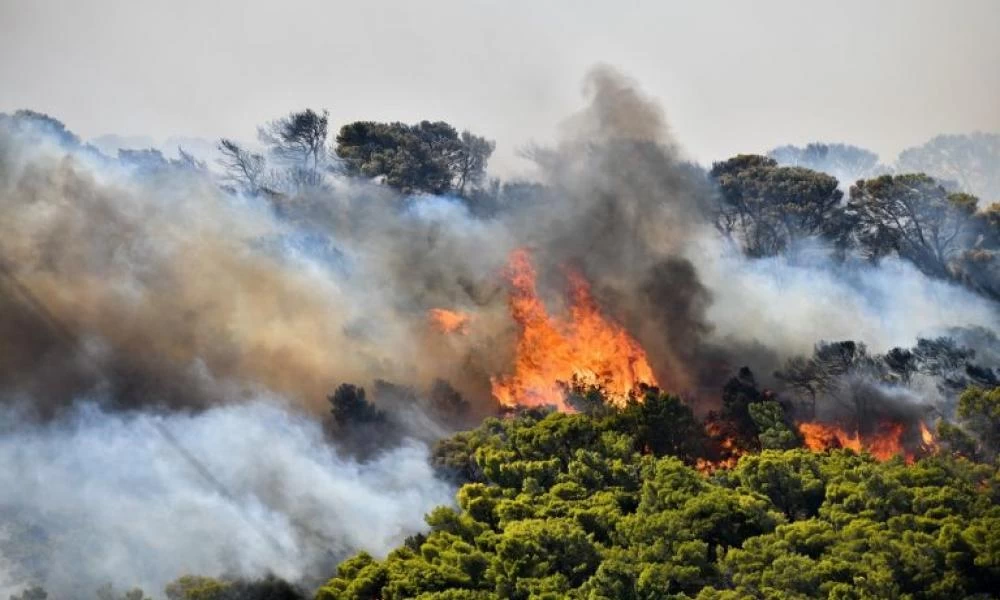 Φωτιά σε στάνη στη Λοκρίδα νωρίς το πρωί της Κυριακής
